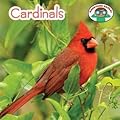 Cardinals