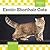 Exotic Shorthair Cats (Cats Set 8)