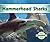 Hammerhead Sharks