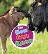 The New Gnu Knew (Hear Homophones Here) The New Gnu Knew (Hear Homophones Here)