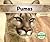 Pumas / Pumas (Grandes Felinos)