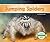Jumping Spiders (Spiders)