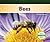 Bees (Insects )
