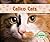 Calico Cats