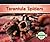 Tarantula Spiders (Spiders)