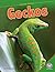 Geckos (Amazing Reptiles)