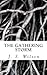 The Gathering Storm by J.S. Wilson
