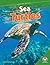 Sea Turtles (Amazing Reptiles)
