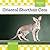Oriental Shorthair Cats