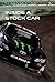 Inside a Stock Car (Life in the Fast Lane, 4)