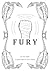 Fury: a streamlined approac...