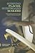Surfing Places, Surfboard Makers by Andrew Warren