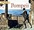 Pompeii (Digging Up the Past)