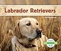 Labrador Retrievers