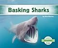 Basking Sharks