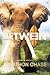 Between: A Story of Africa