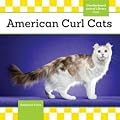 American Curl Cats