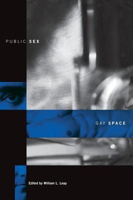 Public Sex/Gay Space (Between Men-Between Women: Lesbian and Gay Studies)