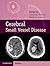 Cerebral Small Vessel Disease