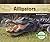 Alligators (Reptiles)