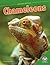 Chameleons (Amazing Reptiles)