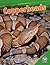 Copperheads (Amazing Reptiles)