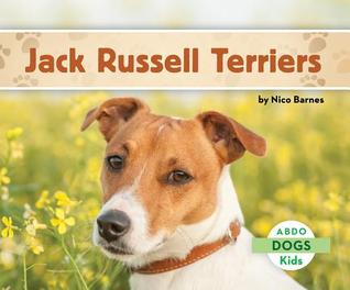 Jack Russell Terriers (Dogs Set 1)