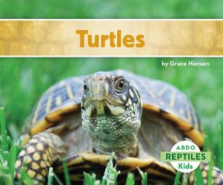 Turtles (Reptiles)