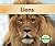 Lions by Claire Archer