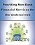 Providing Non-Bank Financia...