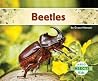 Beetles (Insects ) Beetles (Insects )