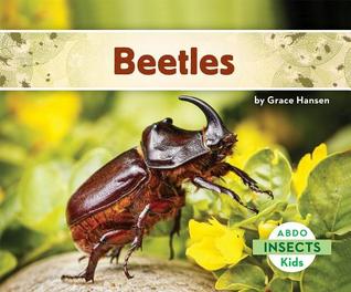 Beetles (Insects )