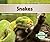 Snakes (Reptiles)