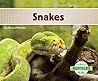 Snakes by Grace Hansen