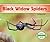 Black Widow Spiders (Spiders)
