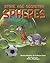 Stone Age Geometry: Spheres
