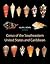 Conus of the Southeastern United States and Caribbean