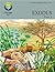 Exodus Part 1, Enrichment Magazine/Study Guide (Life Light In... by Alma Kern