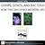 Germs, Genes, and Bacteria by David P. Clark