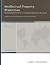 Intellectual Property Protection: Promoting Innovation in a Global Information Economy (CSIS Reports)