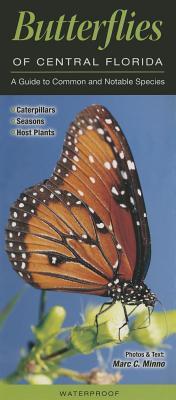 Butterflies of Central Florida: A Guide to Common & Notable Species (Pamphlet)