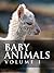 Baby Animals (Photobooks fo...
