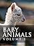 Baby Animals by Mustbe Interactive