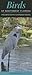 Birds of Southwest Florida: A Guide to Common & Notable Species (Quick Reference Guides)