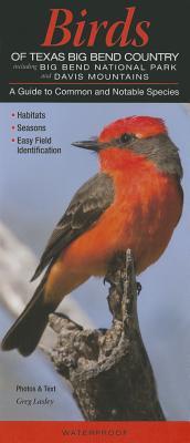Birds of Texas Big Bend Country incl. Big Bend National Park & Davis Mtns.: A Guide to Common & Notable Species (Pamphlet)