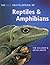 The New Encyclopedia of Reptiles and Amphibians by Tim Halliday
