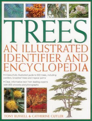 Trees: An Illustrated Identifier And Encyclopedia: A Beautifully Illustrated Guide To 600 Trees, Including Conifers, Broadleaf Trees And Tropical Palms