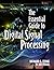 The Essential Guide to Digital Signal Processing