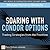 Soaring with Iron Condor Options: Trading Strategies from the Frontline