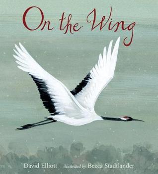 On the Wing (Paws, Fins, Feathers, Claws)